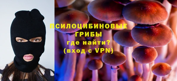 таблы Михайловск